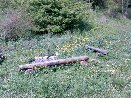 Úklid studánky na "popovsku" - 30.4.2007